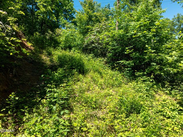 811 San Remo Drive, Gatlinburg, TN 37738