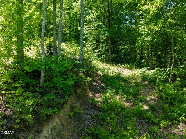 811 San Remo Drive, Gatlinburg, TN 37738