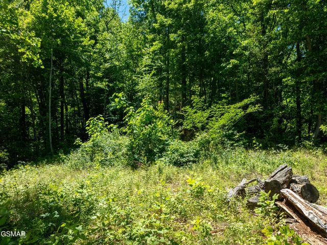 811 San Remo Drive, Gatlinburg, TN 37738