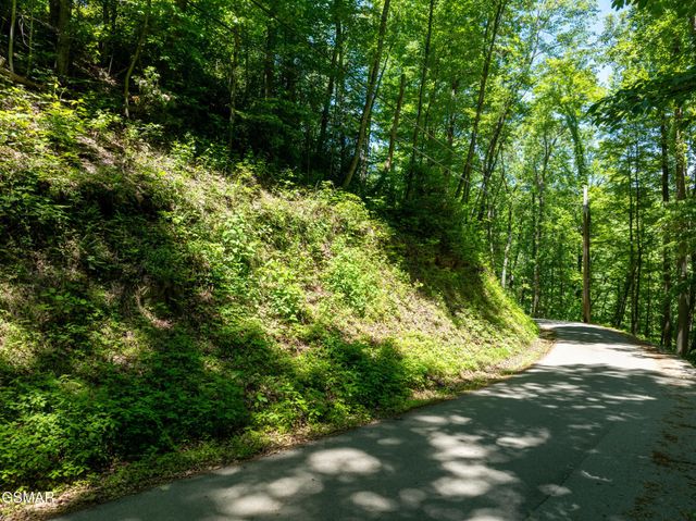 811 San Remo Drive, Gatlinburg, TN 37738