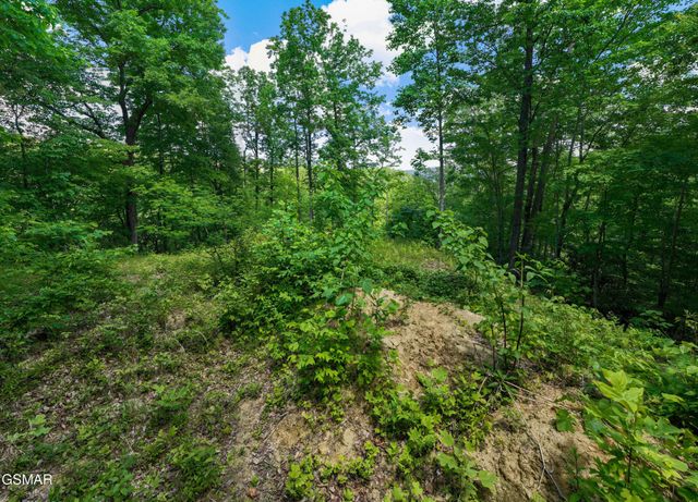 811 San Remo Drive, Gatlinburg, TN 37738