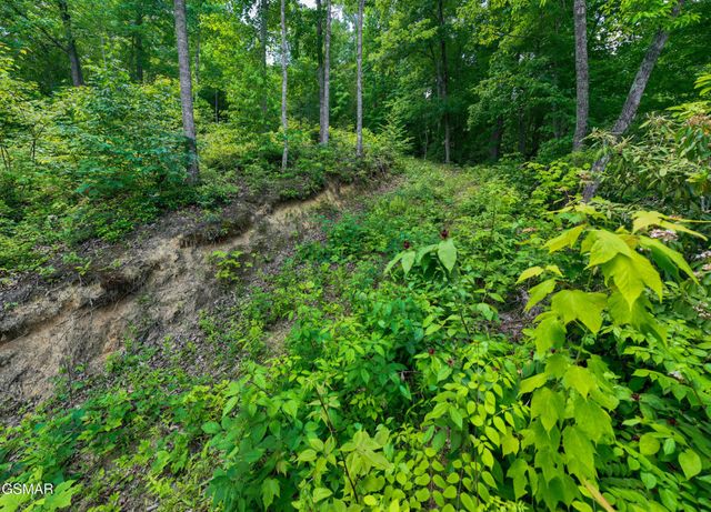 811 San Remo Drive, Gatlinburg, TN 37738