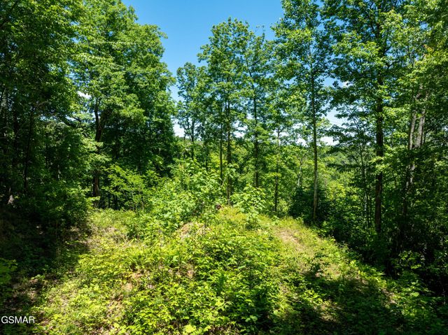 811 San Remo Drive, Gatlinburg, TN 37738