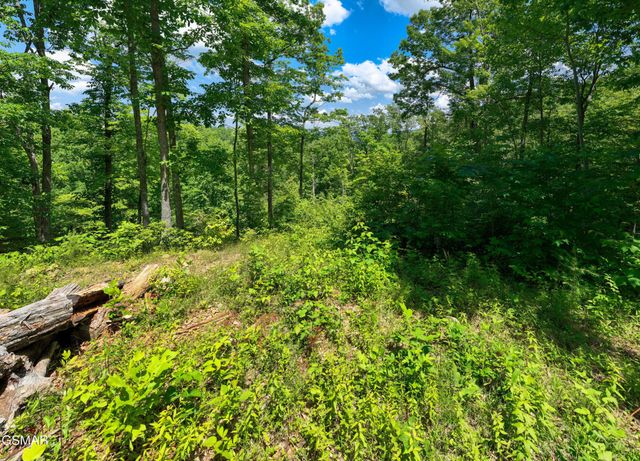 811 San Remo Drive, Gatlinburg, TN 37738