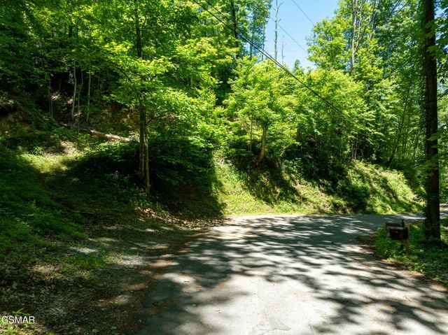811 San Remo Drive, Gatlinburg, TN 37738