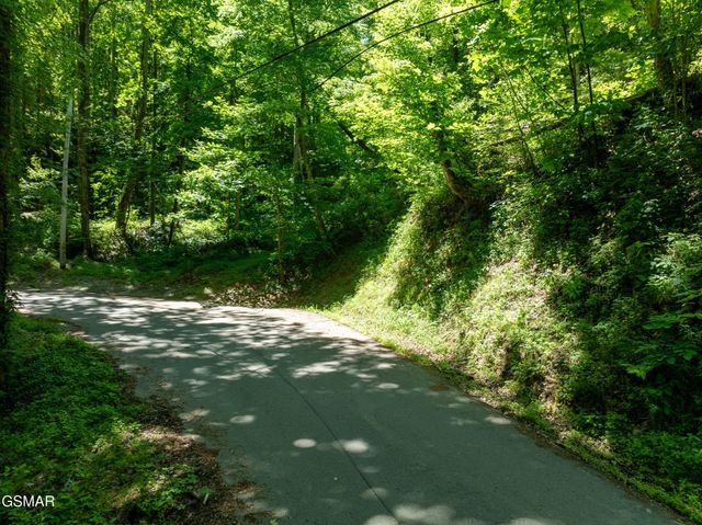 811 San Remo Drive, Gatlinburg, TN 37738