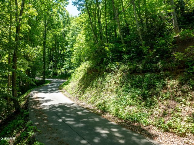 811 San Remo Drive, Gatlinburg, TN 37738