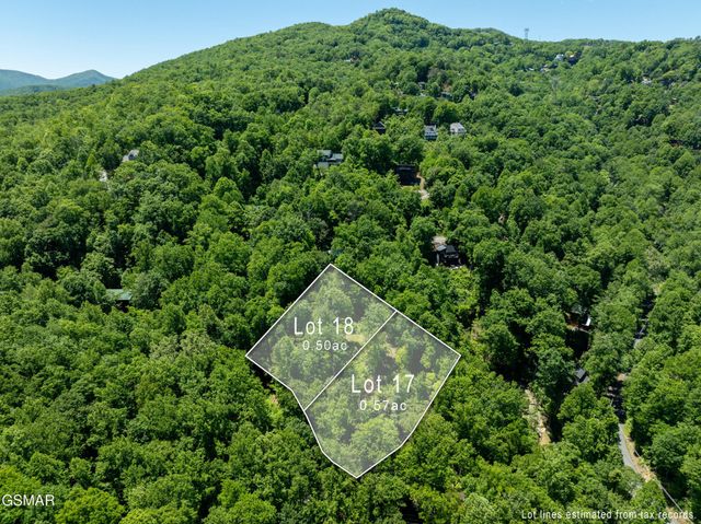 811 San Remo Drive, Gatlinburg, TN 37738
