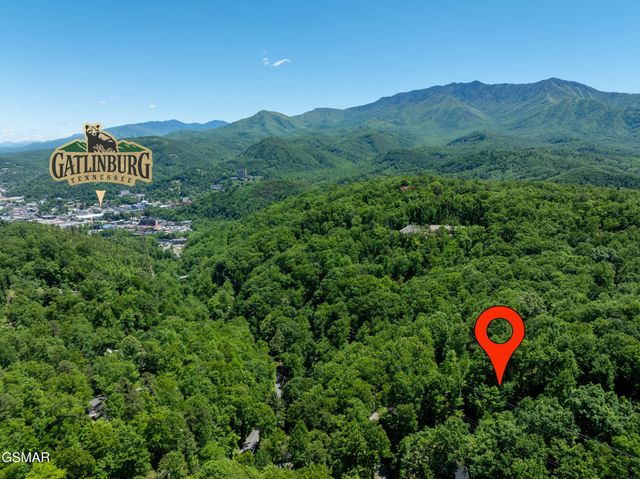 811 San Remo Drive, Gatlinburg, TN 37738