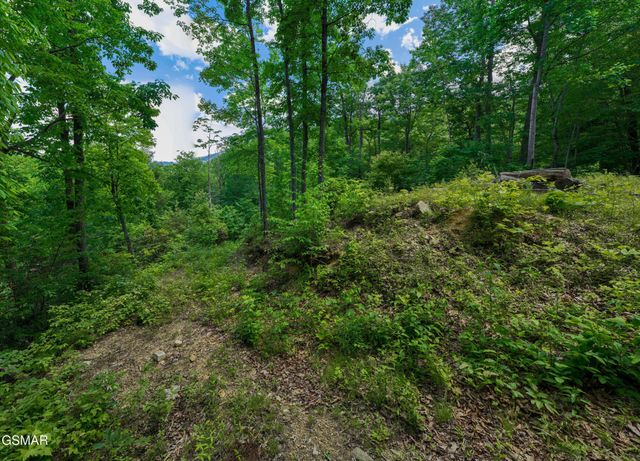 811 San Remo Drive, Gatlinburg, TN 37738