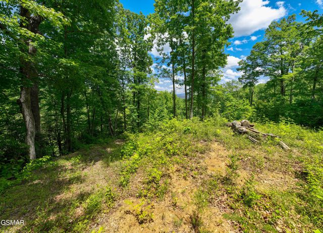 811 San Remo Drive, Gatlinburg, TN 37738