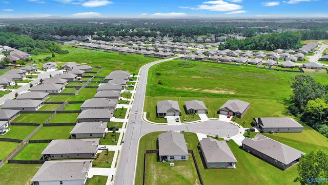 14162 Parliament Court, Athens, AL 35613