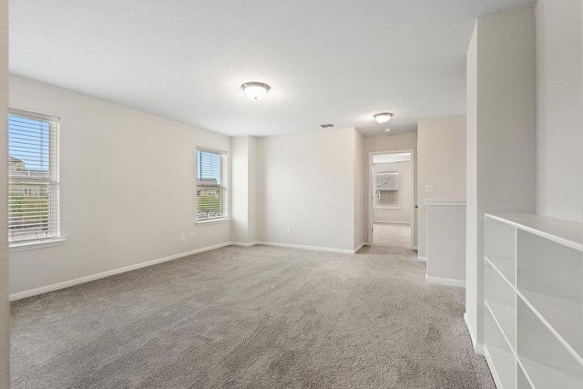 11225 Zip Cochise WAY, Austin, TX 78653