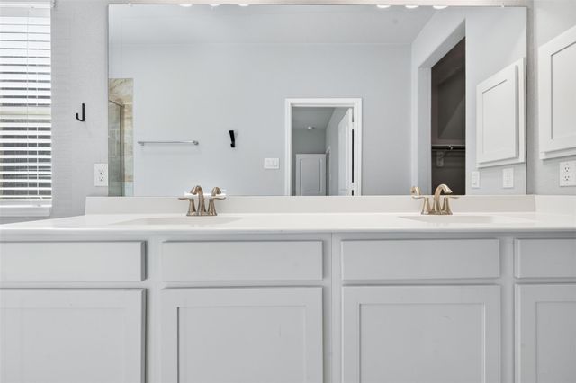 13238 Enchanted Way Drive, Montgomery, TX 77356