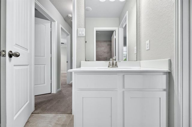 13238 Enchanted Way Drive, Montgomery, TX 77356