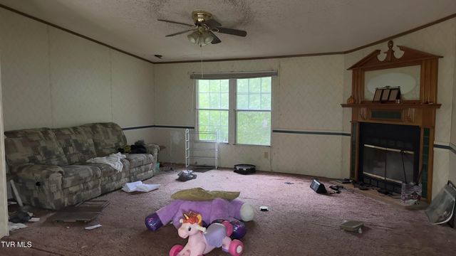 380 Cedar Point Road, Johnson City, TN 37615