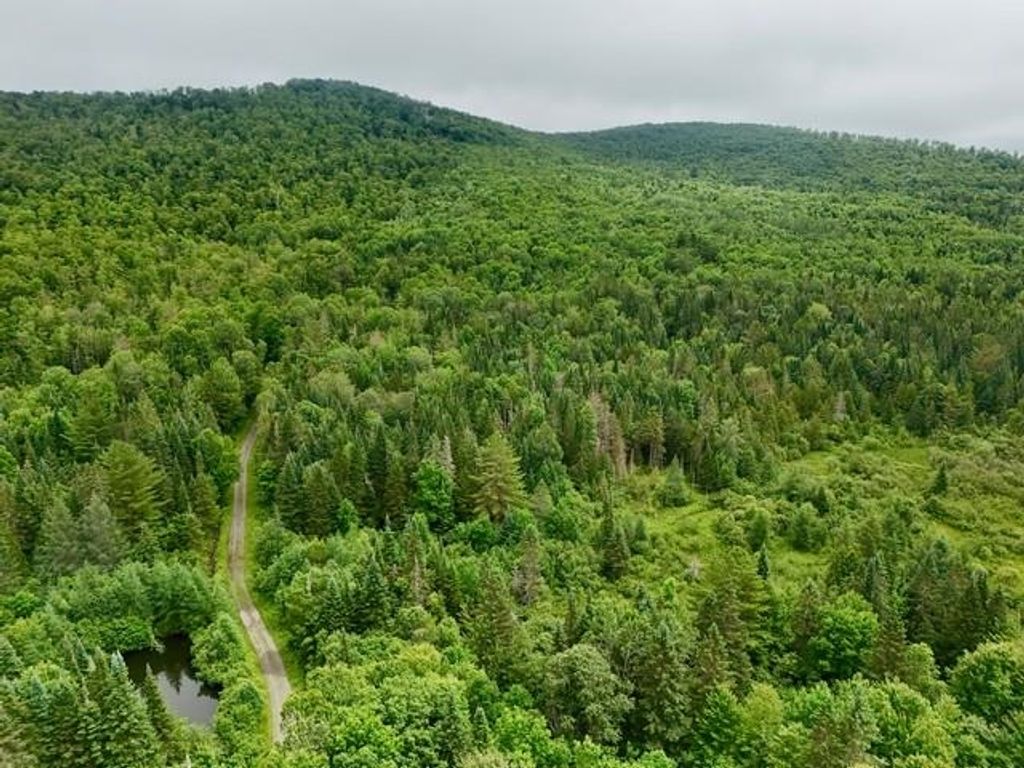 796 New Duck Pond Road, Sheffield, VT 05866