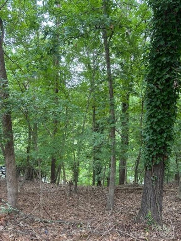 10045 Tepa Place, Tega Cay, SC 29708