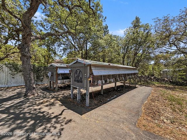 18354 Monteverde Drive, Shady Hills, FL 34610