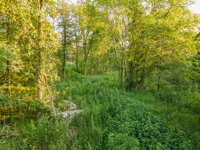 0 Hunter Bills Rd, Lewisburg, TN 37091