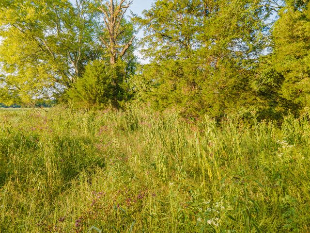 0 Hunter Bills Rd, Lewisburg, TN 37091