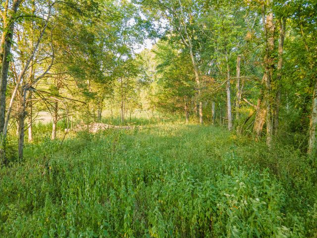 0 Hunter Bills Rd, Lewisburg, TN 37091