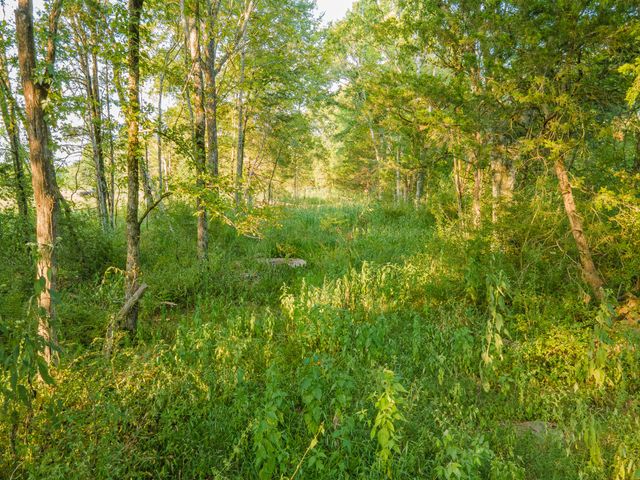 0 Hunter Bills Rd, Lewisburg, TN 37091