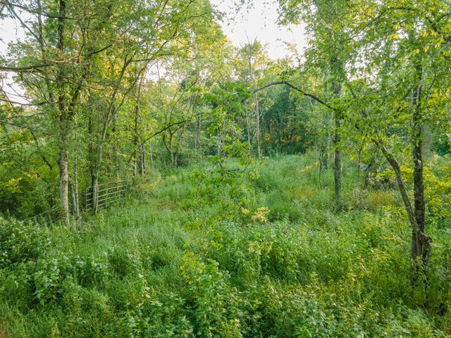 0 Hunter Bills Rd, Lewisburg, TN 37091
