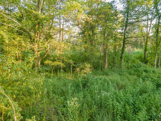 0 Hunter Bills Rd, Lewisburg, TN 37091