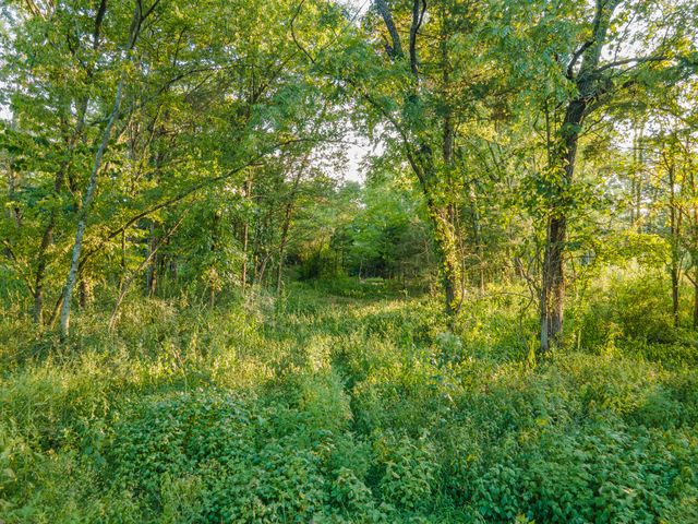 0 Hunter Bills Rd, Lewisburg, TN 37091