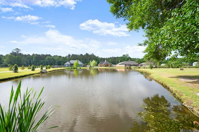 33798 Cane Market Rd, Walker, LA 70785