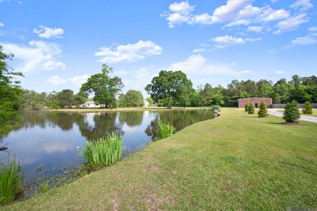 33798 Cane Market Rd, Walker, LA 70785