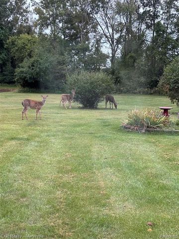 12980 Metcalf Road, Brockway, MI 48097
