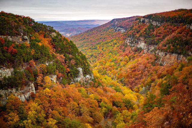 92-H Founding Way 24, Lookout Mountain, GA 30750