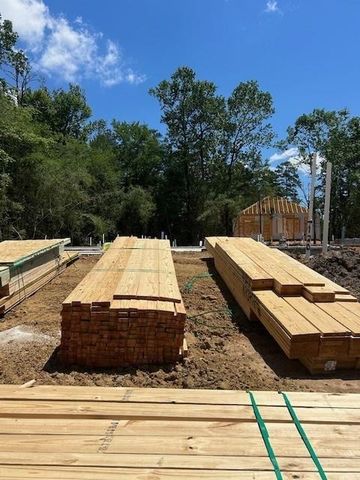 120 Spotted Wood Court, Willis, TX 77318