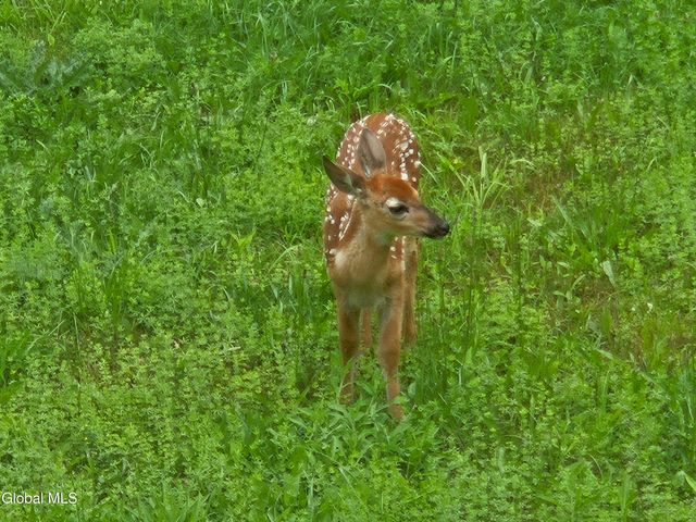 966 Thacher Park Road, Voorheesville, NY 12186