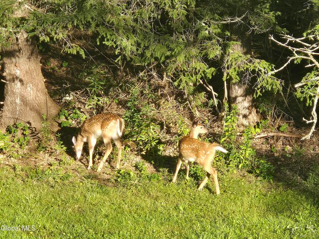 966 Thacher Park Road, Voorheesville, NY 12186