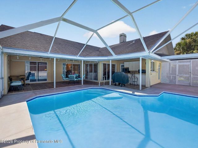 1197 Muscovy Drive, Spring Hill, FL 34608