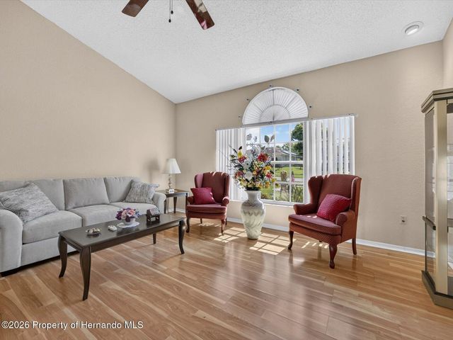 1197 Muscovy Drive, Spring Hill, FL 34608