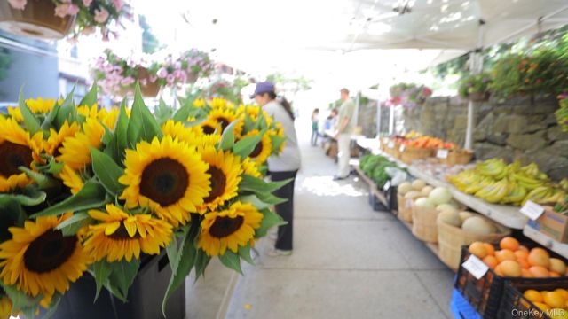 113 Beacon Hill Drive E25, Dobbs Ferry, NY 10522