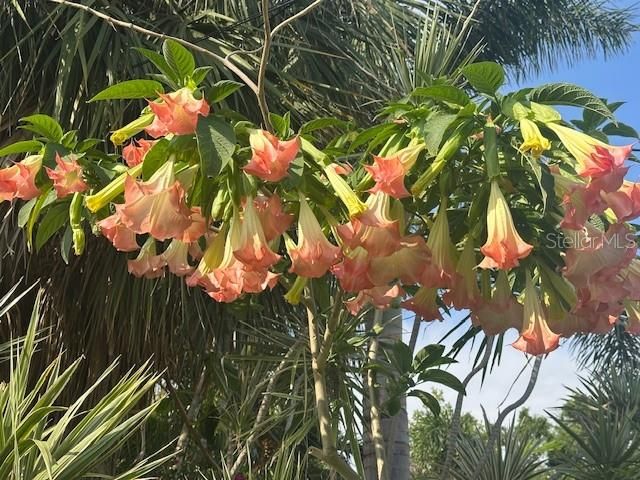 243 SNELL ISLE BOULEVARD NE, St Petersburg, FL 33704