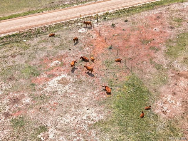3501 County Road 106, Elizabeth, CO 80107