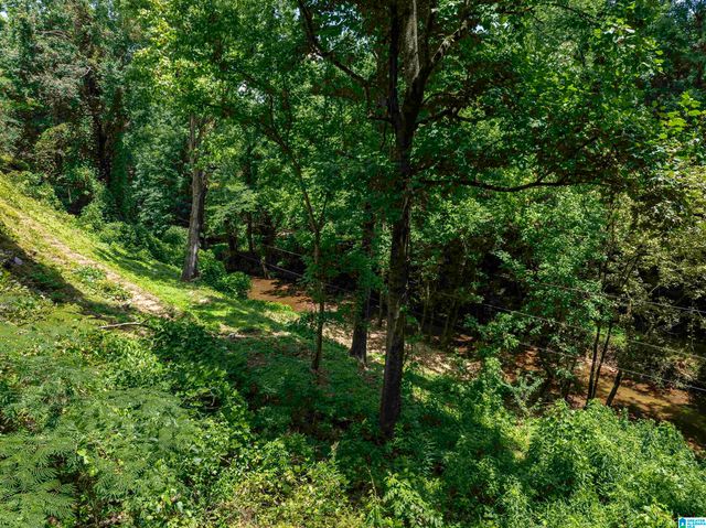 2209 STERLINGWOOD DRIVE, Birmingham, AL 35216