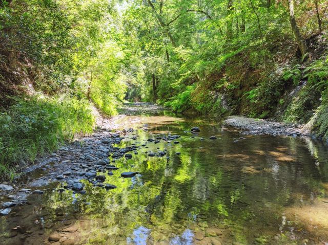 200 Shady Lane, Boulder Creek, CA 95006