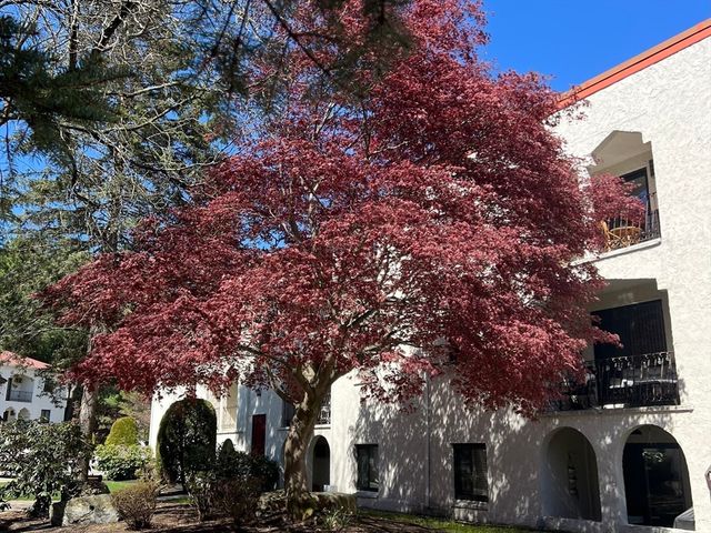 320 Fellsview Terrace 326 C, Stoneham, MA 02180