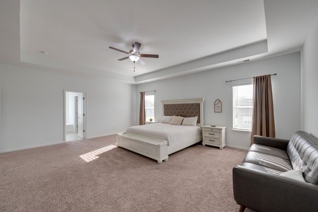 315 Petunia Dr, Smyrna, TN 37167