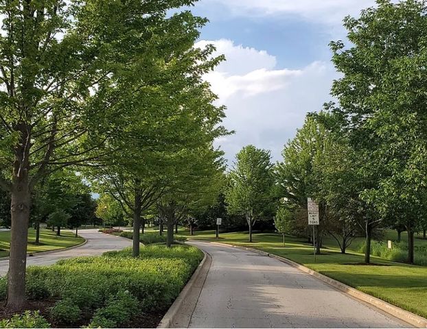 26643 Lindengate Circle, Plainfield, IL 60585