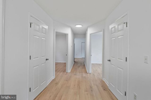 905 HANOVER ST, Salisbury, MD 21801