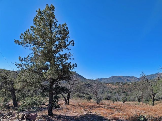 105 Crazy Horse Trail, Fort Davis, TX 79734