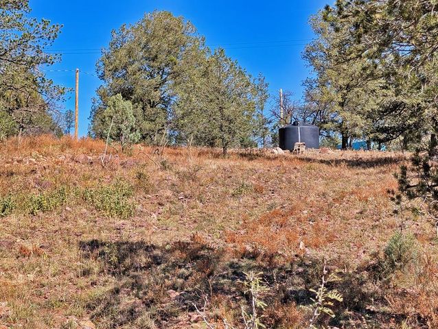 105 Crazy Horse Trail, Fort Davis, TX 79734